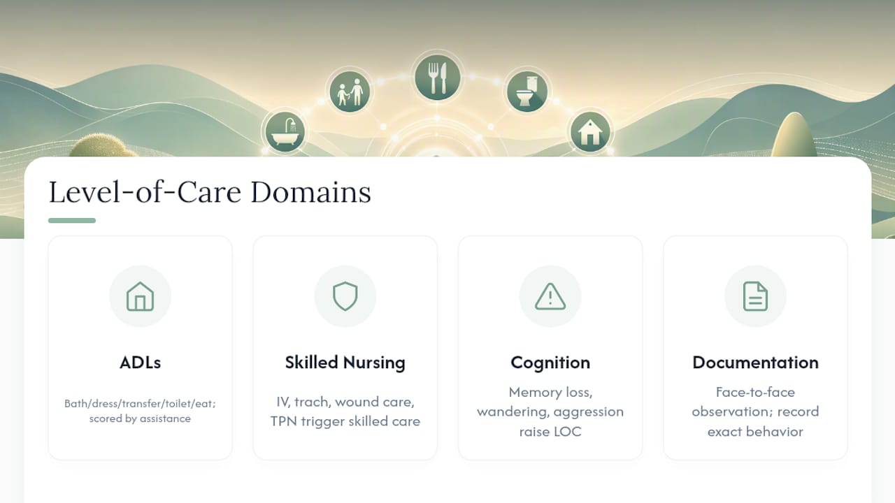 four level of care assessment domains